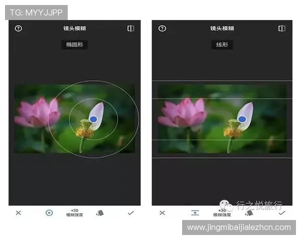 如何快速下载安装ag真人网站，完整操作流程详解教程分享